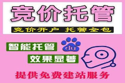 百度竞价排名案例：如何打造爆款广告并提升品牌形象
